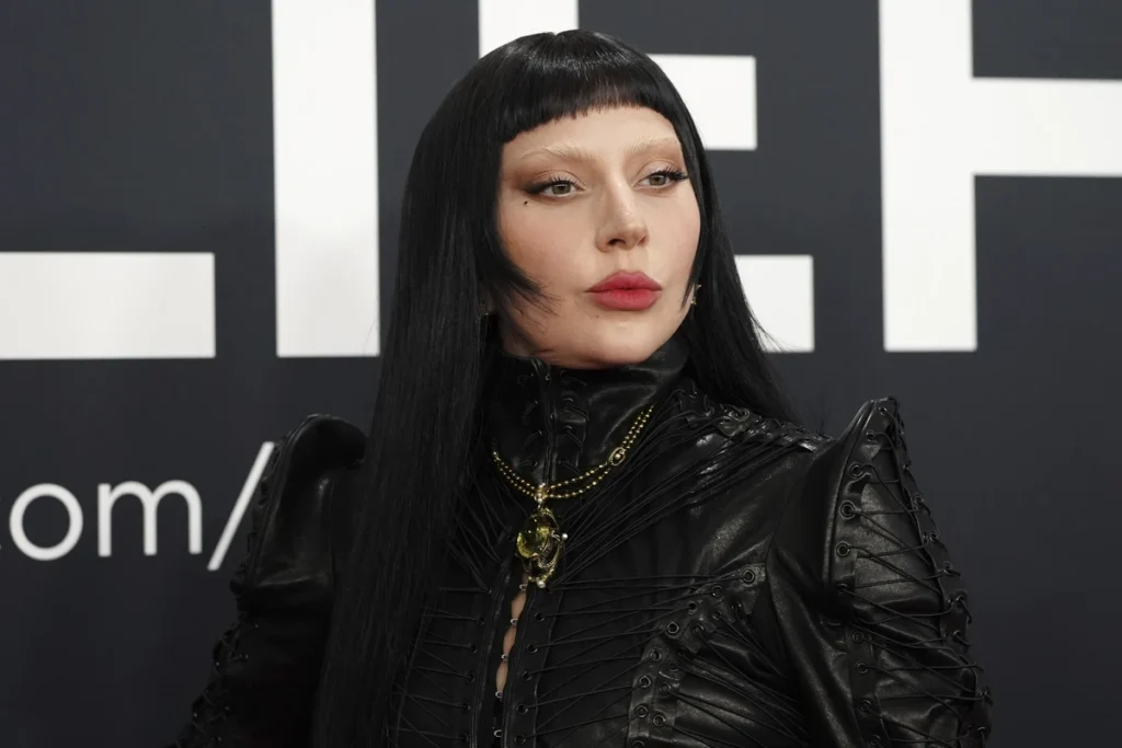 lady gaga vermögen